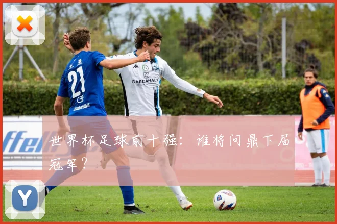 世界杯足球前十强：谁将问鼎下届冠军？