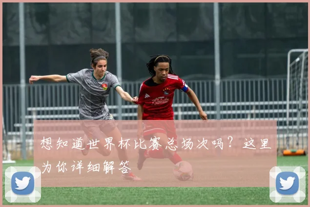 想知道世界杯比赛总场次吗？这里为你详细解答