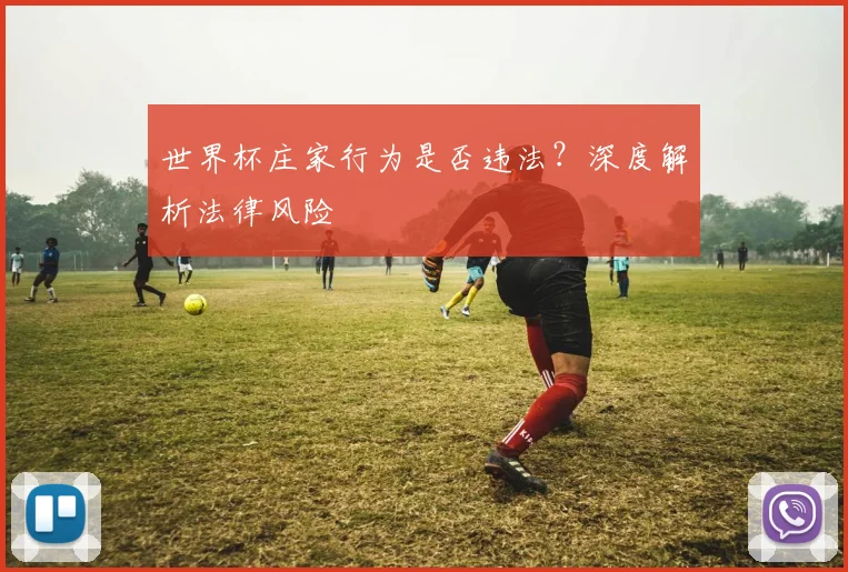 世界杯庄家行为是否违法？深度解析法律风险