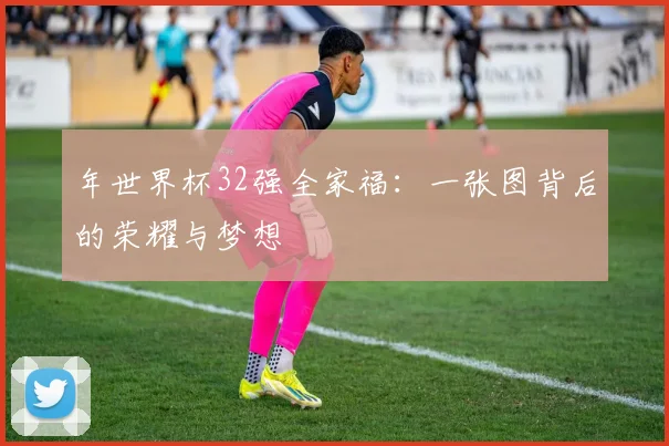 年世界杯32强全家福:一张图背后的荣耀与梦想